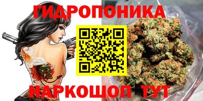 мяу мяу мука Беслан