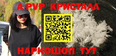 мяу мяу мука Беслан