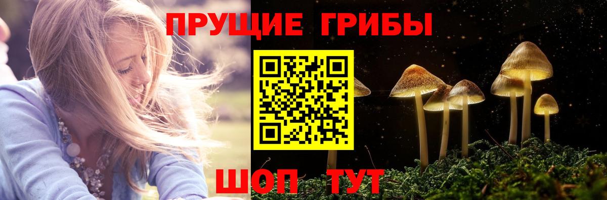 Галлюциногенные грибы Psilocybe  Вход с VPN  Кимры 